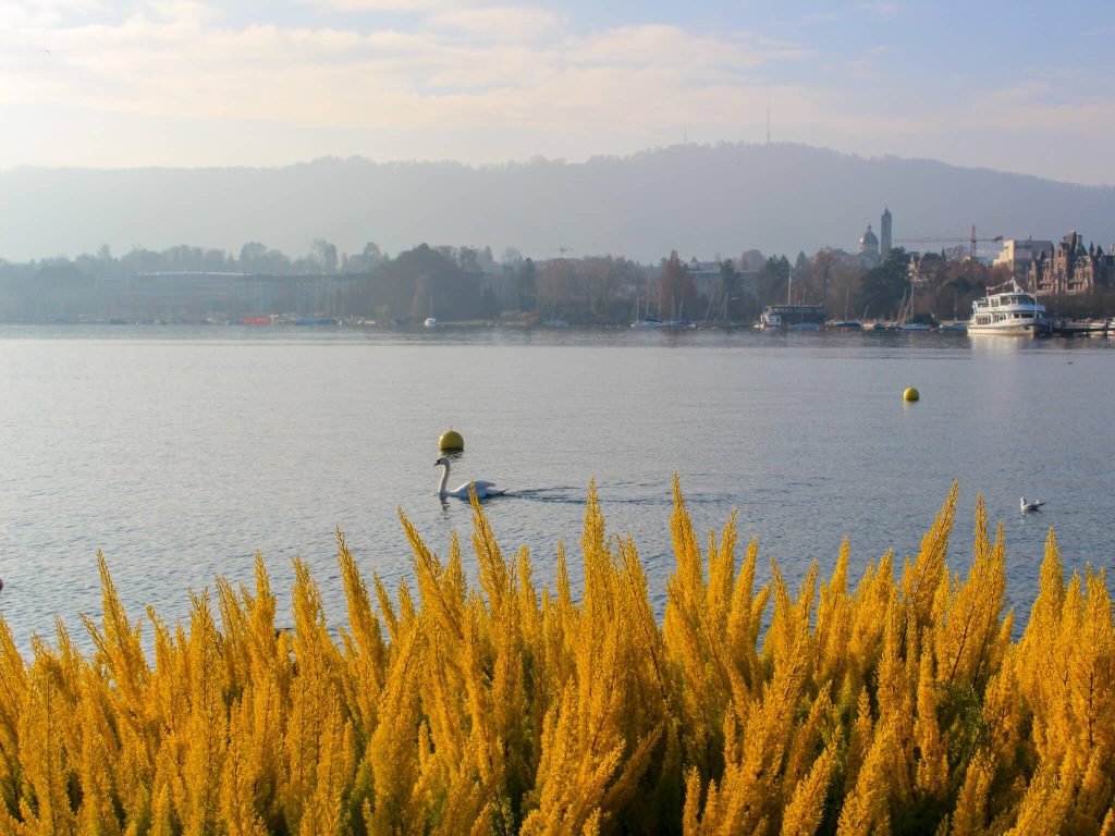 Best Honeymoon Destinations in February 2026 19 Switzerland in Fabruary romantic