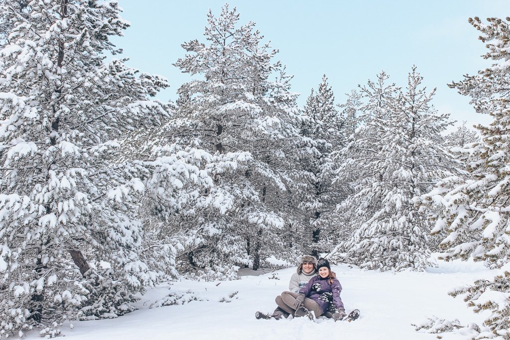 Where to Enjoy Snow in Spain with Kids 4 winter in spain snow forest fun