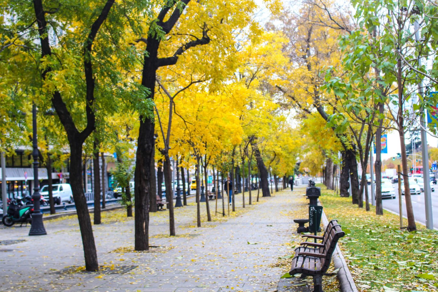 Autumn in Spain: Where to Find the Most Breathtaking Fall Foliage