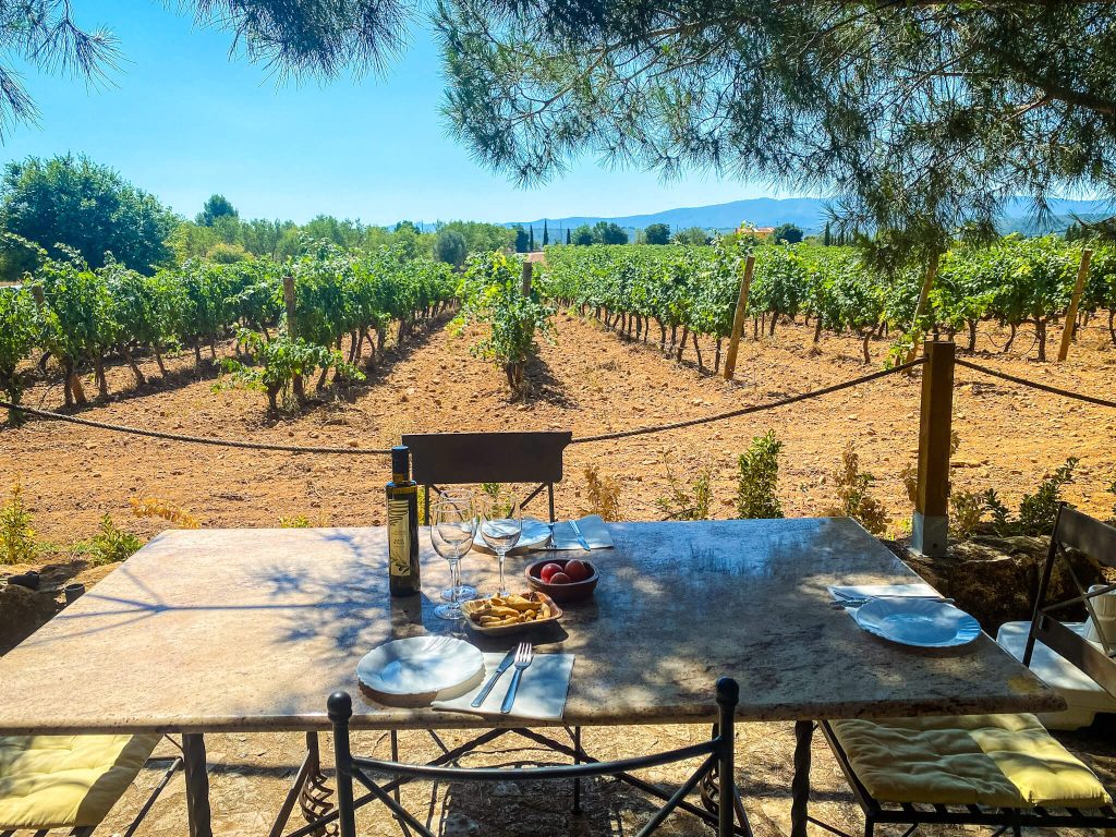 wineries in la rioja travel guide-2