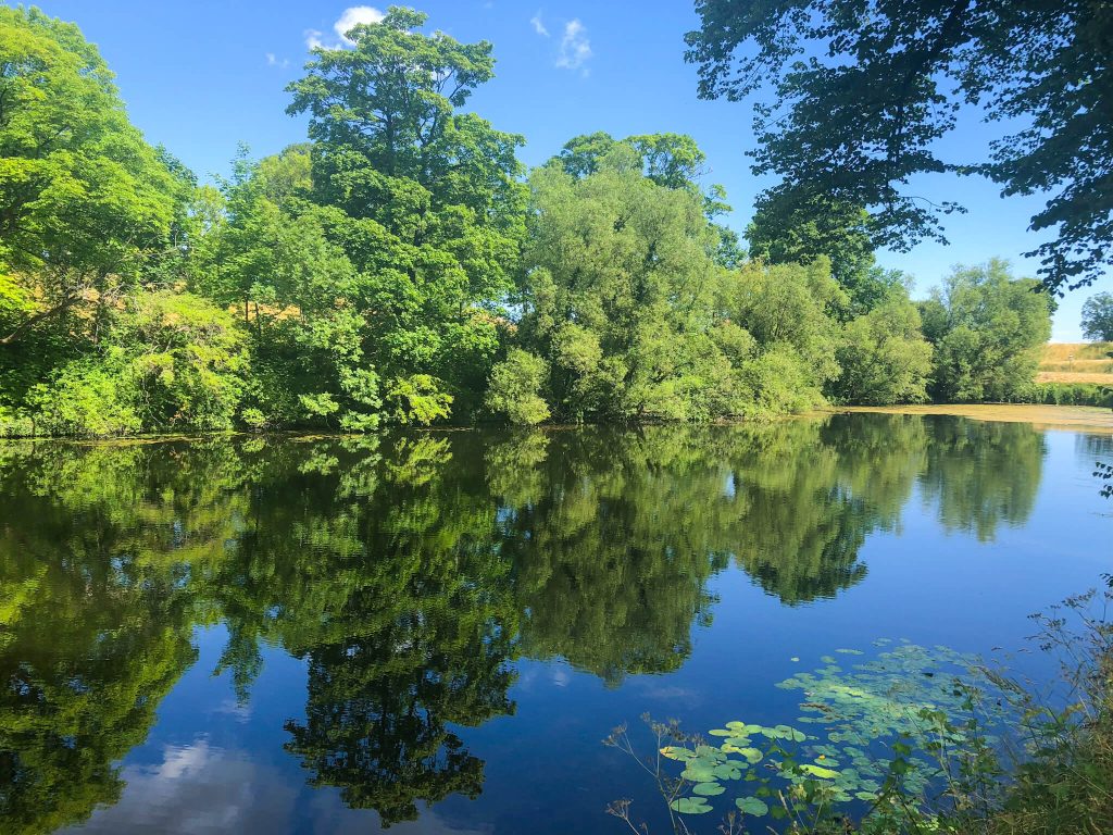 copenhagen denmark nature travel guide