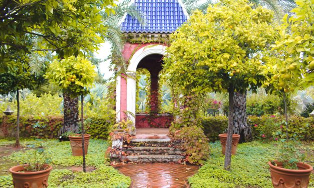 Mediterranean Garden Inspiration in Spain: Jardi de L´Albarda in Alicante