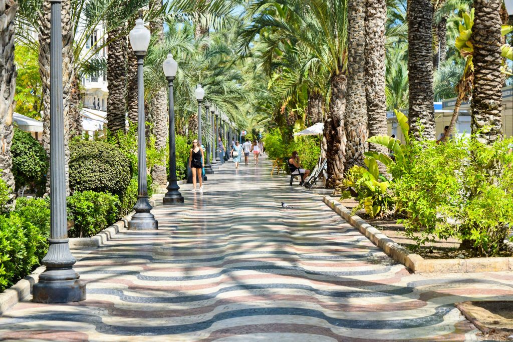 one day in Alicante spain