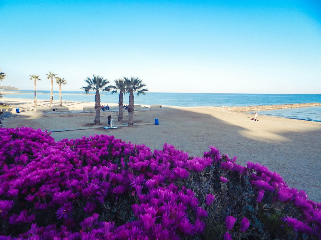 Things to see in Castellon benicassim