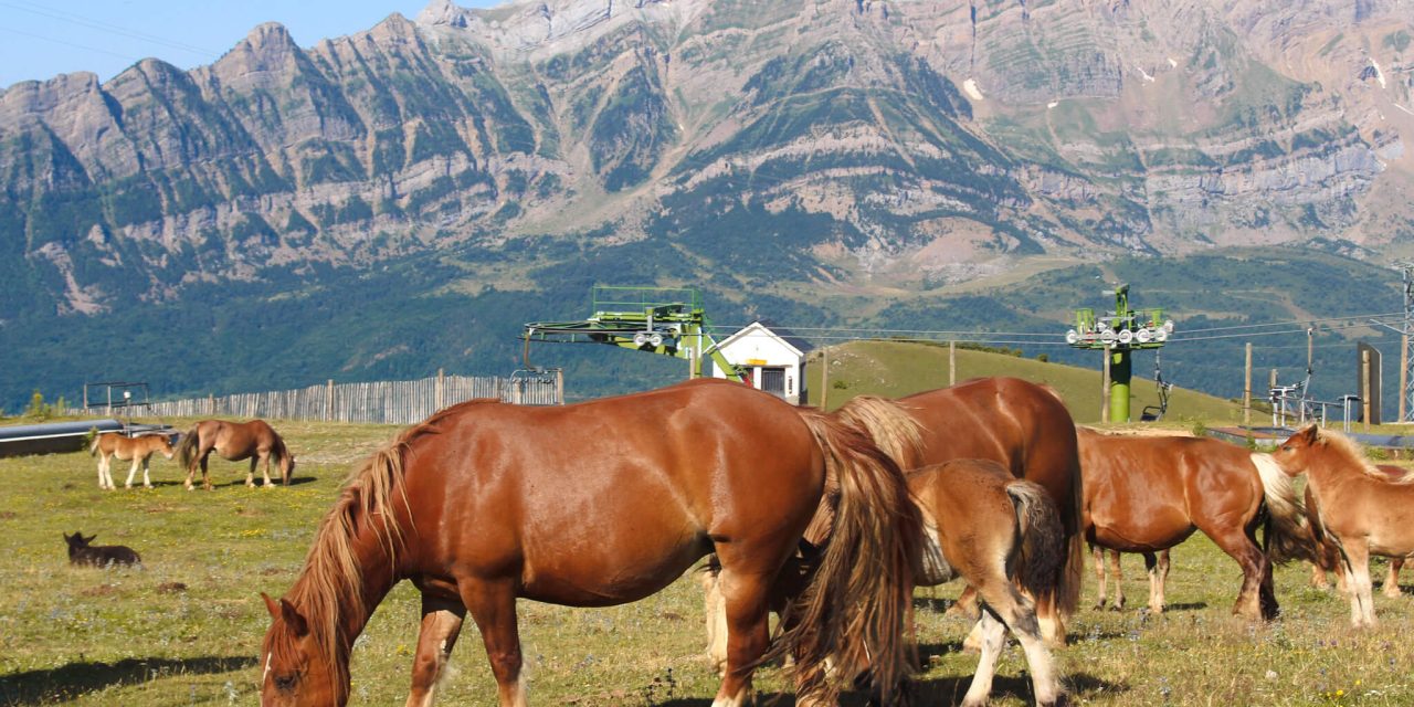 2 Weeks Pyrenees Itinerary for Nature Lovers in Spain