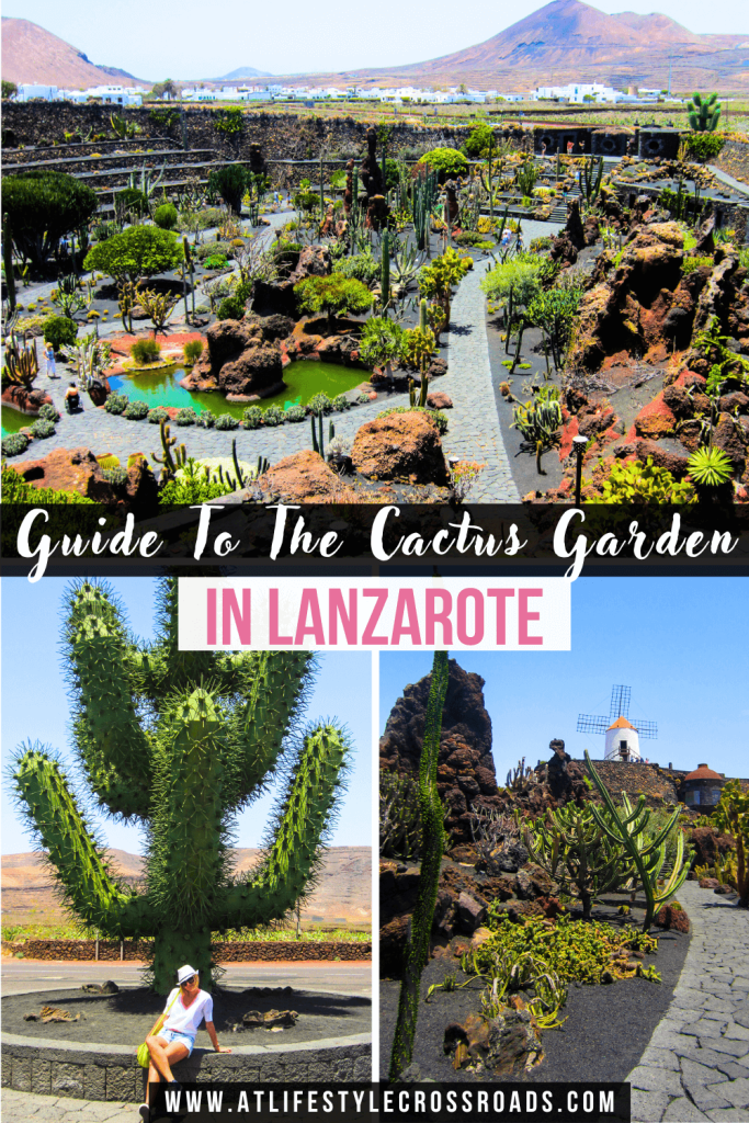 Guide To The Cactus Garden in Lanzarote Spain