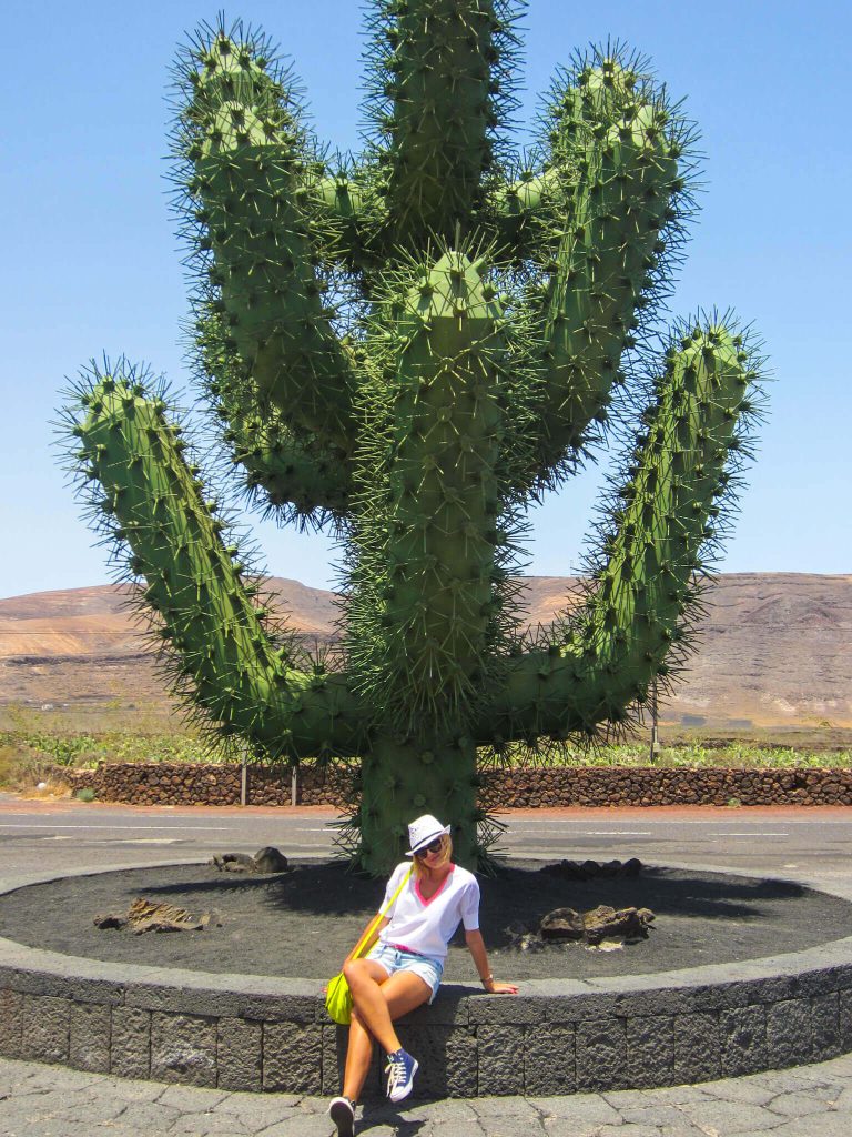 Cactus Garden in Lanzarote Spain