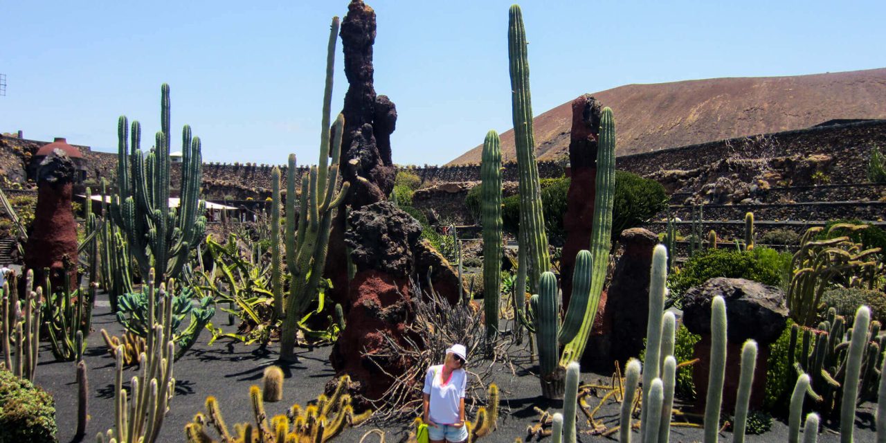 A Visual Guide To The Cactus Garden in Lanzarote