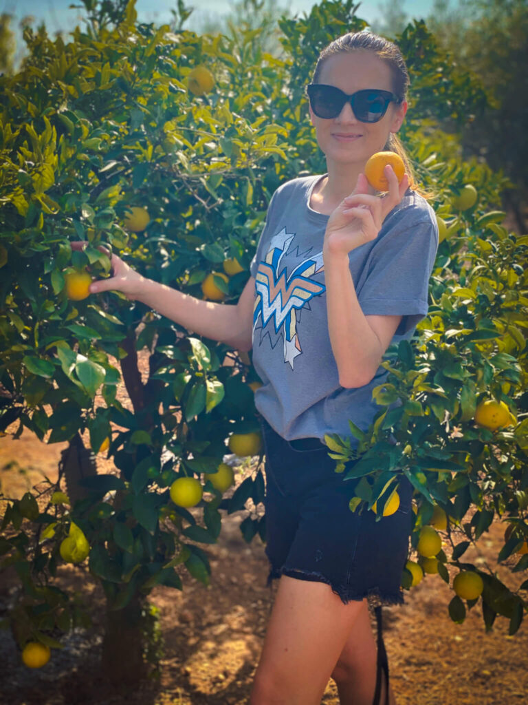Oranges in Valencia