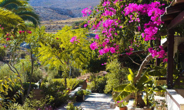 Crete or Cyprus: Which one is better?