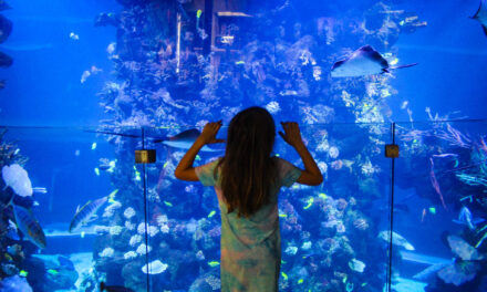 Gran Canaria with Kids: Best Places to Stay & Fun Things to Do