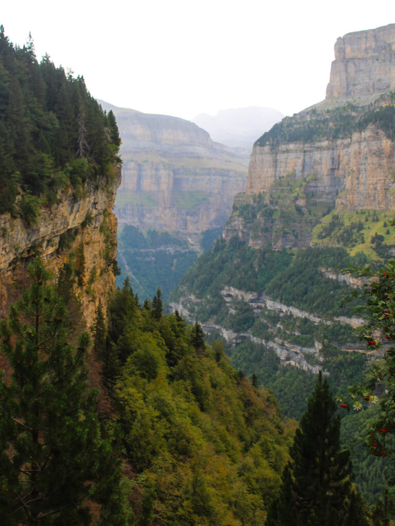 Panoramic views Ordesa National park