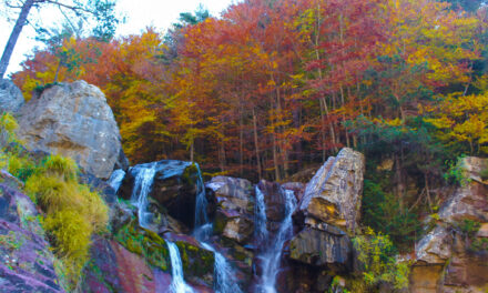 Autumn in Spain: Where to Find the Most Breathtaking Fall Foliage