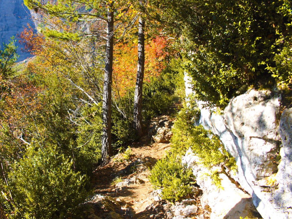 Pyrenees in Fall: An Ultimate 5-day Pyrenees Itinerary 26 Llanos de Lalarri Valle de Cinca hiking