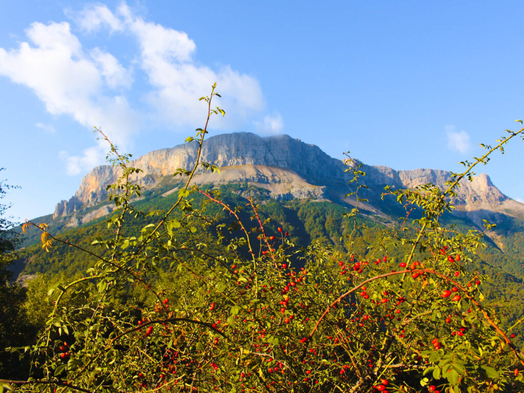 Pyrenees in Fall: An Ultimate 5-day Pyrenees Itinerary 2 Pyrenees in october