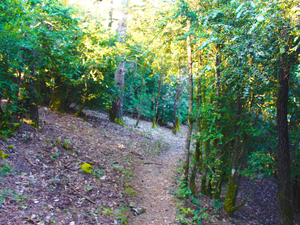 Pyrenees in Fall: An Ultimate 5-day Pyrenees Itinerary 17 Gargantas de Esquain Hiking ordesa park