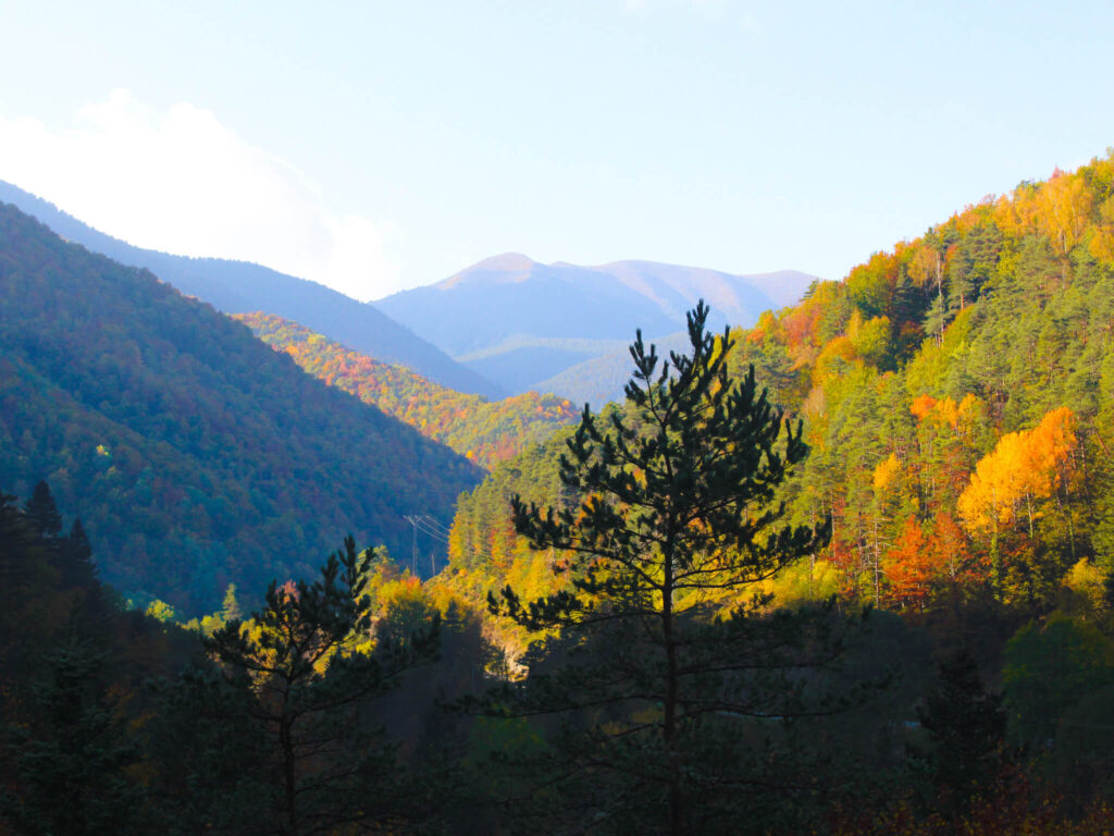 Pyrenees in Fall: An Ultimate 5-day Pyrenees Itinerary 5 Pardina del señor fall pyrenees aragon