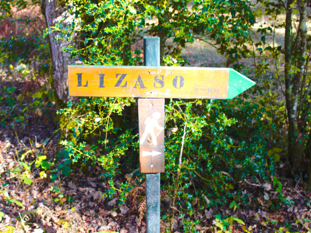 Pyrenees in Fall: An Ultimate 5-day Pyrenees Itinerary 33 Bosque de Orgi Lizaso hiking trail navarra