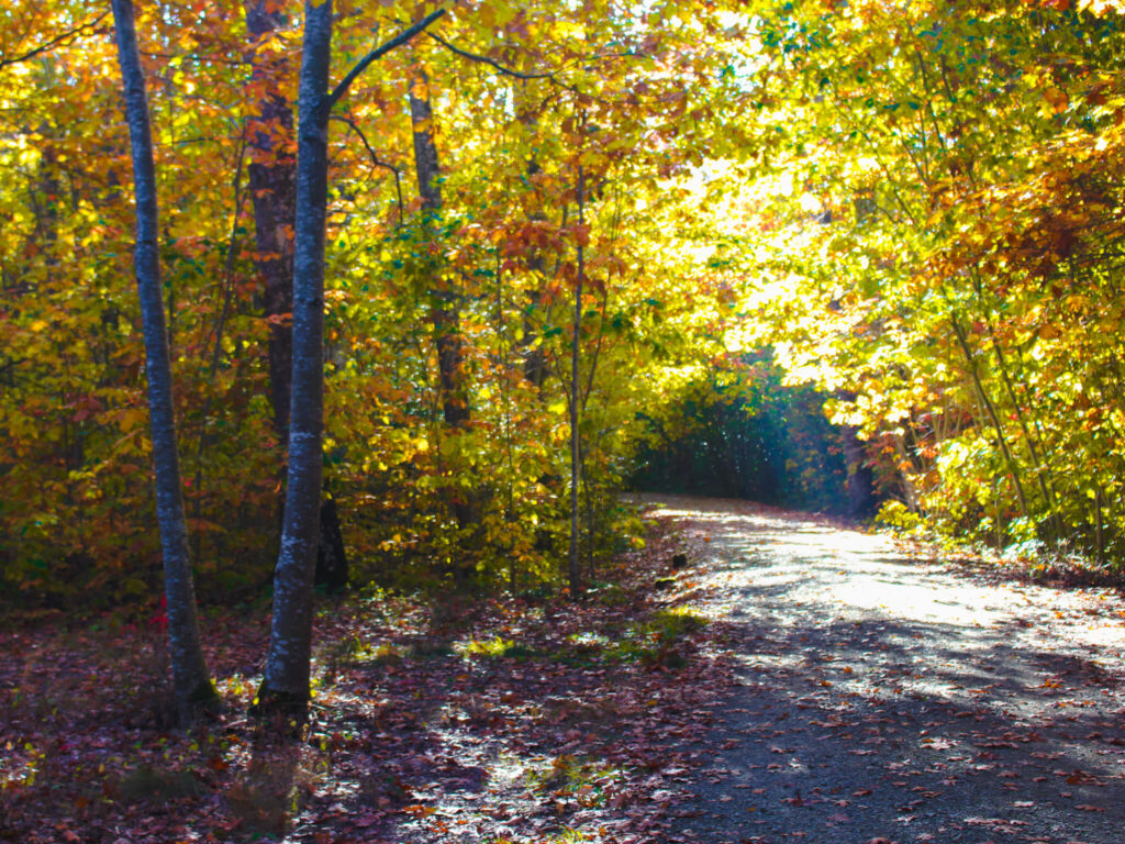 Pyrenees in Fall: An Ultimate 5-day Pyrenees Itinerary 35 Best autumn hikes pyrenees navarra