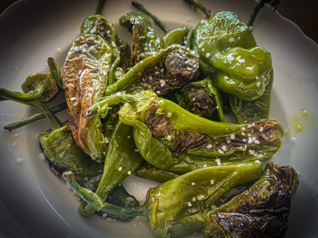 Pimientos de Padrón tapas in Spain