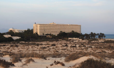 Best Areas to Stay in Fuerteventura for First-Timers