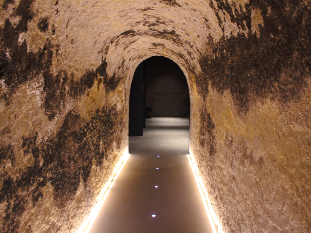 Winery visit in Castile La Mancha Central Spain