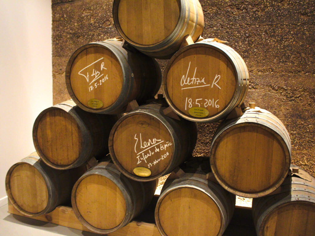 Wine tour in Tomelloso Central Spain