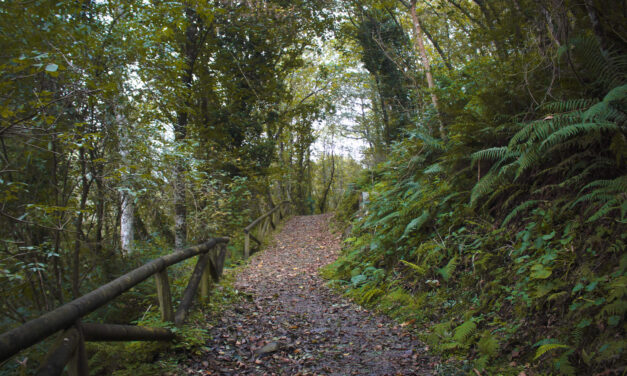 Asturias with Kids: A Family Weekend in Northern Spain