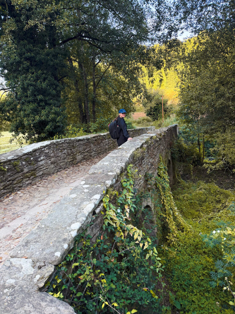 Landscape camino frances