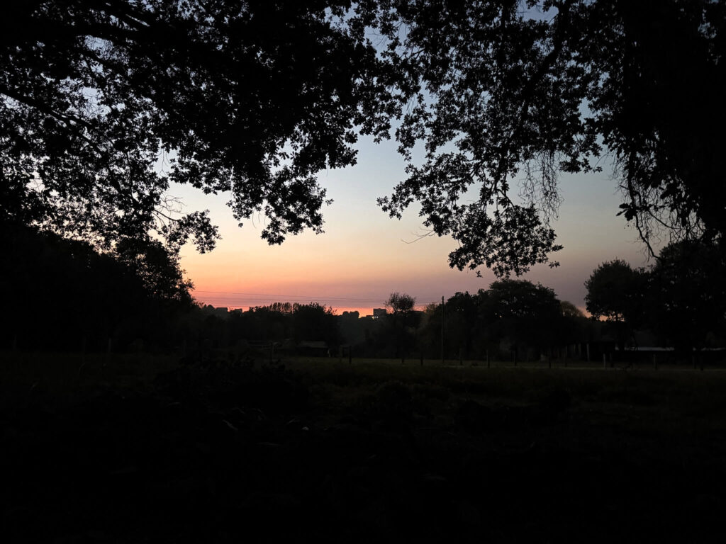 Sunrise camino frances