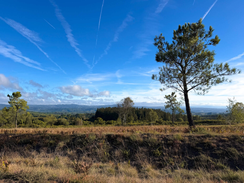 Views along el camino frances